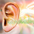 Natural Medicine for Tinnitus: Exploring the Link Between Diet and Tinnitus Symptoms